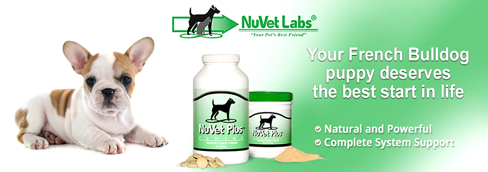 nuvet labs dogs cats vitamins supplements header